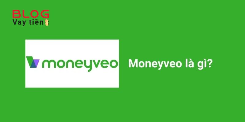 Giới thiệu chung về Moneyveo